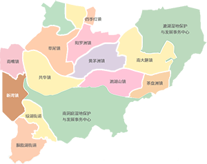 �����^���D