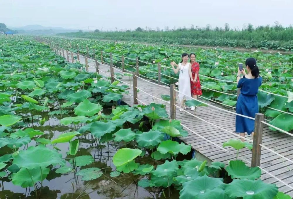 �f��: https://inews.gtimg.com/newsapp_bt/0/14540248751/1000