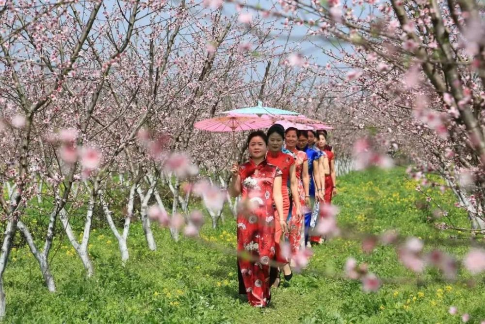 �f��: https://inews.gtimg.com/newsapp_bt/0/14540248752/1000