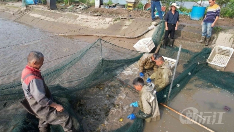 �~�����~ �~�S�˚g�c�S��