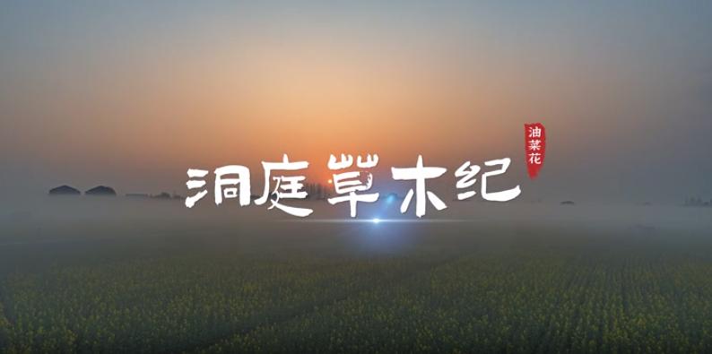 ��ͥ��ľ�o���Ͳ˻�