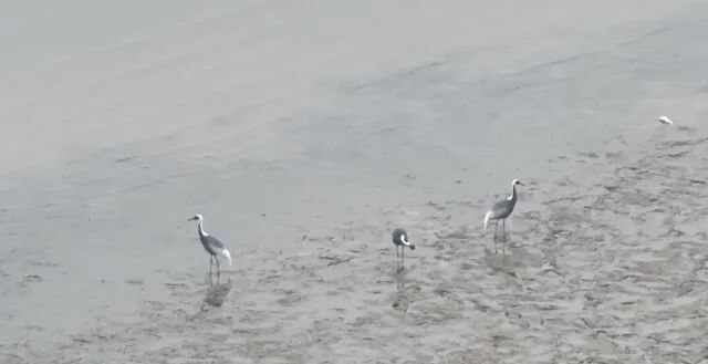 �����Q�ػ��϶�ͥ�� ������ȫ����Σ��N