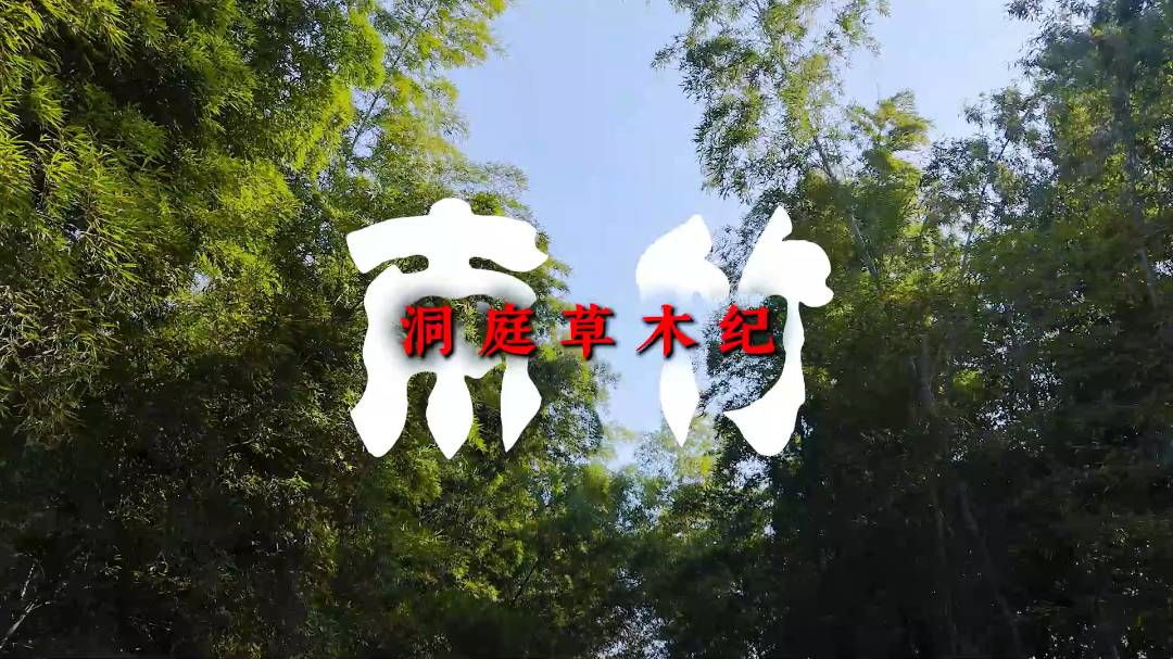 ��ͥ��ľ�o �� ����