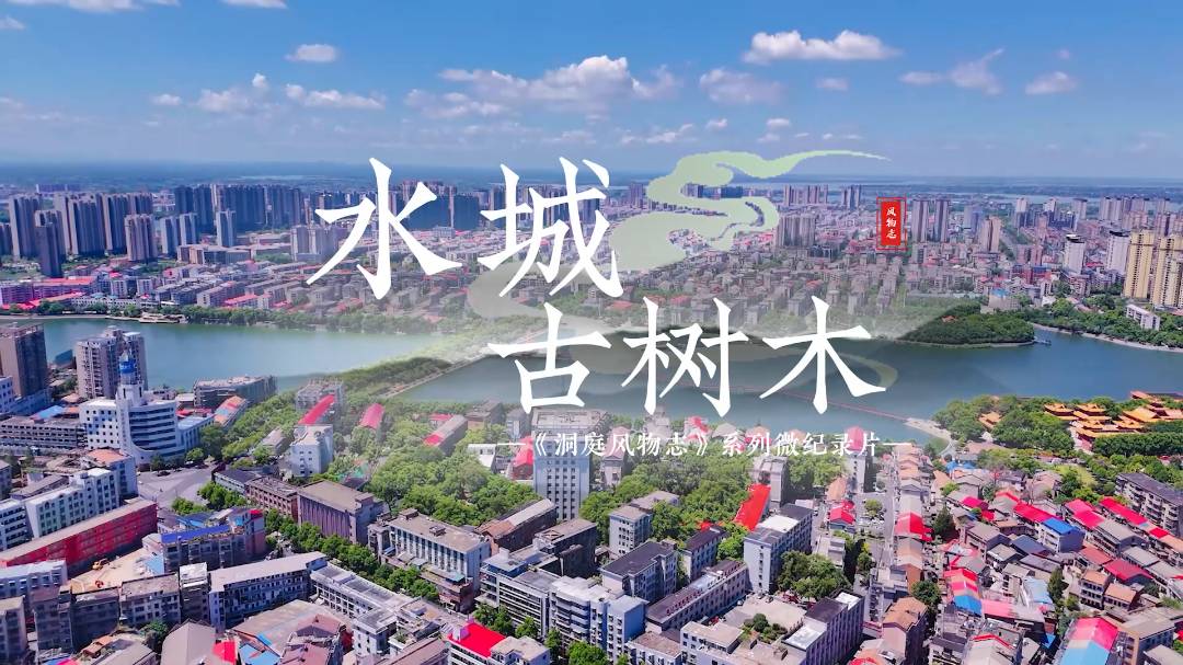 ��ͥ�L(f��ng)��־ �� ˮ�ǹŘ�ľ