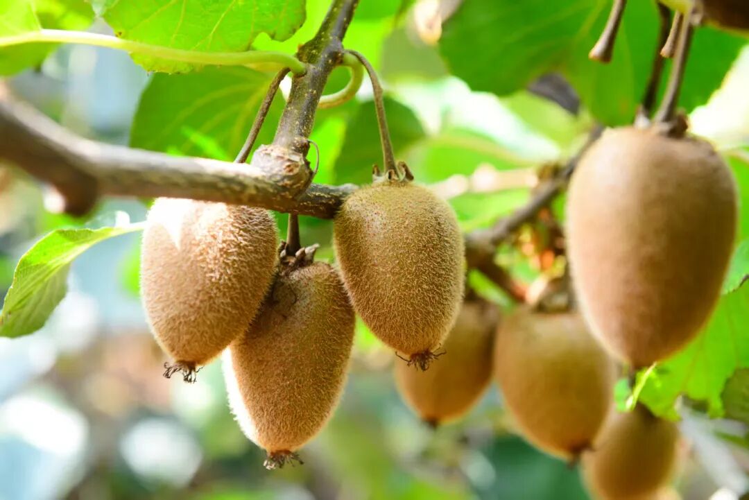 һ�ڱ�֭���佭��֬�����h��ٮ��J�����_�@���ο���ꠁ�ժ��